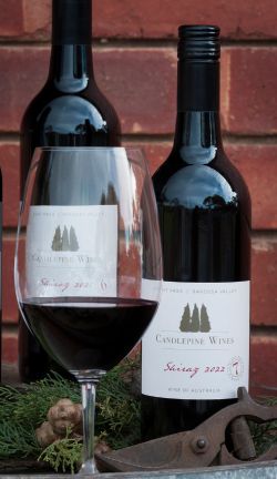 2022 Shiraz - Village Red No.7